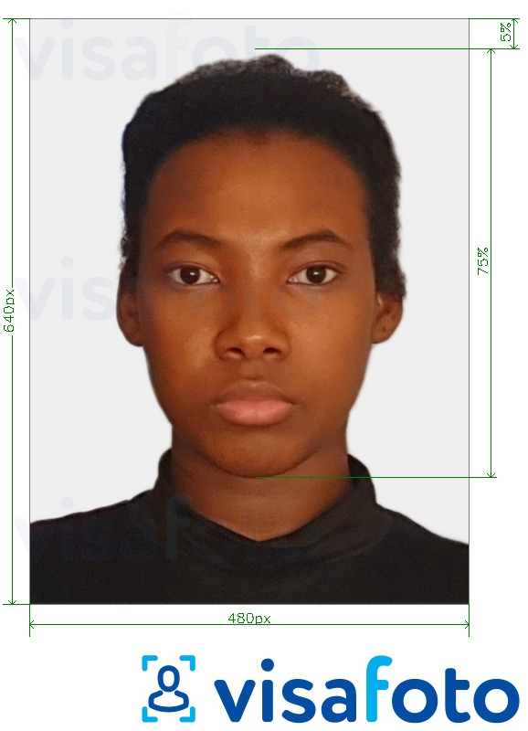 Przykład zdjęcia dla Paszport bahamski 480x640 pikseli z podaniem dokładnego rozmiaru.