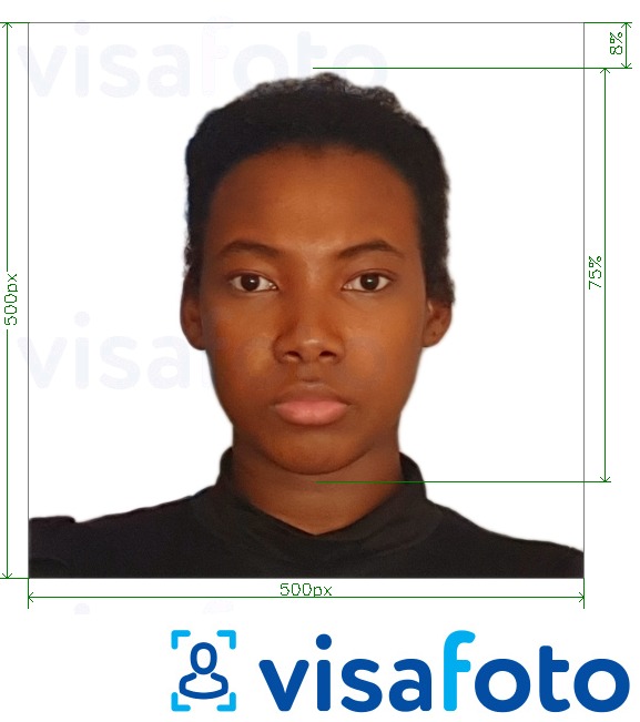 Przykład zdjęcia dla Wiza kameruńska online 500x500 px z podaniem dokładnego rozmiaru.