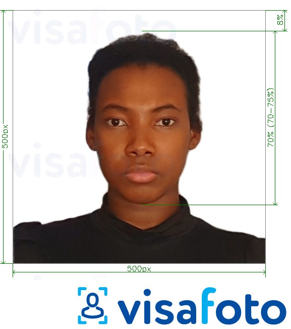 Przykład zdjęcia dla Kenia e-wiza online 500x500 pikseli z podaniem dokładnego rozmiaru.